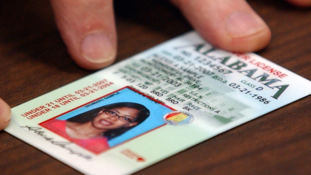 A sample of an Ala. drivers license is seen in Montgomery, Ala. (Photo by Dave Martin/AP)
