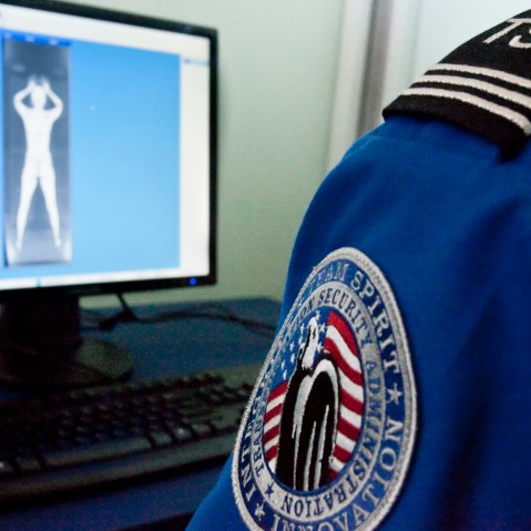 A TSA officer looks at a simulated image. (Photo by Nati Harnik/AP)