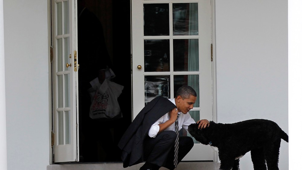 In this March 15, 2012 file photo, President Barack Obama pets the family dog Bo, a Portuguese water dog, outside the Oval Office of the White House in Washington, D.C. (Photo by Pablo Martinez Monsivais/AP)