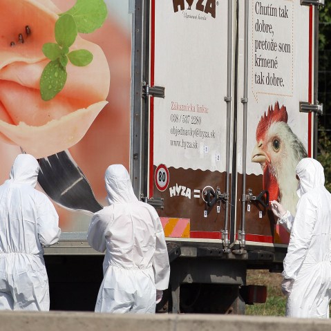 Investigators stand near a truck that stands on the shoulder of the highway A4 near Parndorf south of Vienna, Austria on Aug. 27, 2015. (Photo by Ronald Zak/AP)
