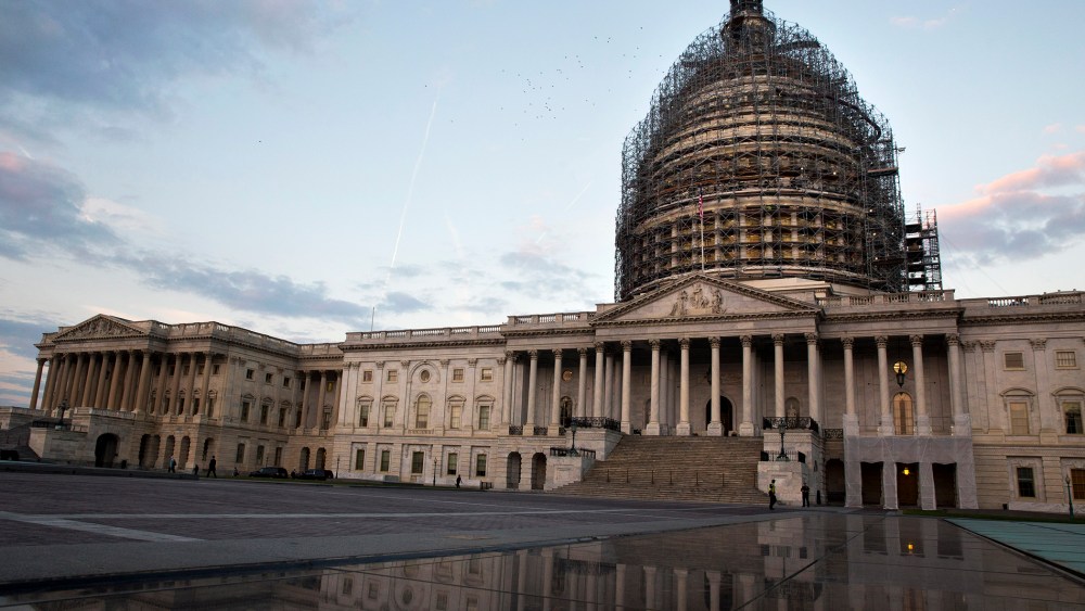 A flock of birds flies over the House side of the Capitol in the early morning in Washington, D.C., Oct. 8, 2015. (Photo by Jacquelyn Martin/AP)
