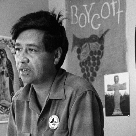 This 1965 file photo shows Cesar Chavez, farm worker labor organizer and leader of the California grape strike, in an office in California works from an office in 1965. (Photo by George Brich/AP)