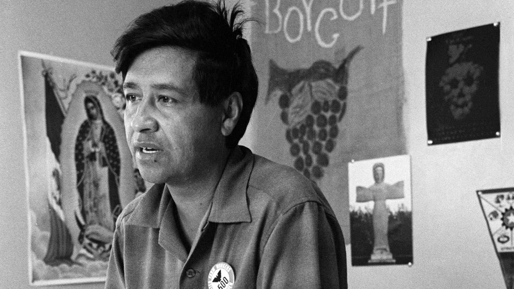 This 1965 file photo shows Cesar Chavez, farm worker labor organizer and leader of the California grape strike, in an office in California works from an office in 1965. (Photo by George Brich/AP)