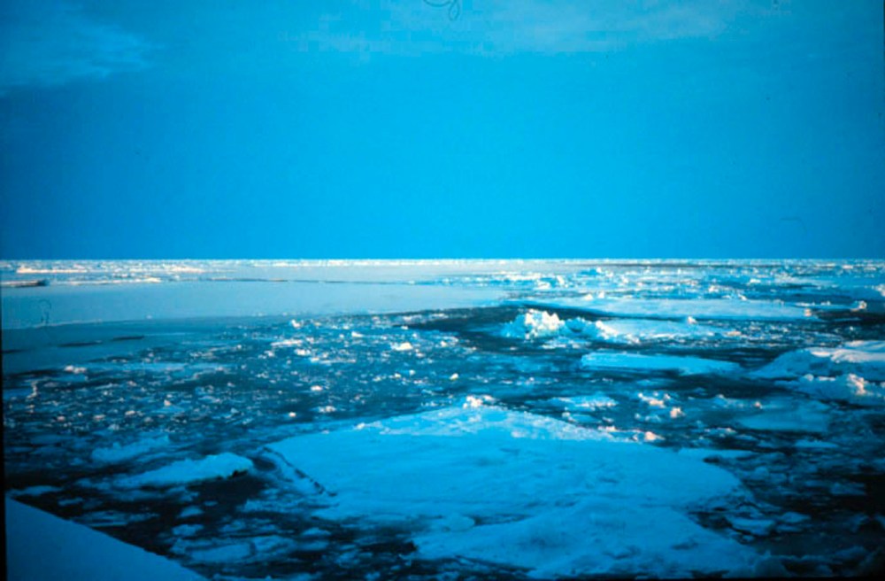 Arctic ice
