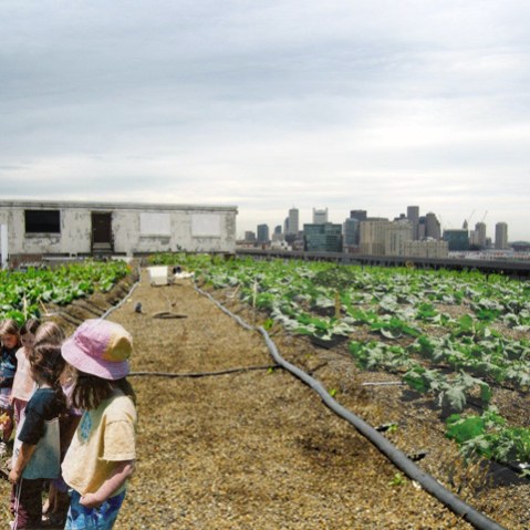 Rendering by Recover Green Roofs, original imagery by Brooklyn Grange Rooftop Farm.(Image by Recover Green Roofs, via Kickstarter)