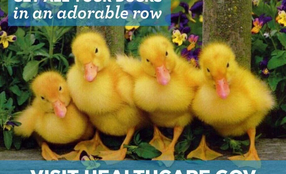 Baby Ducks Adorable Care Act