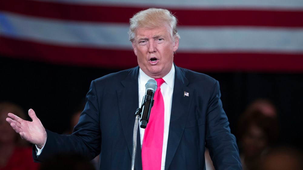 Republican presidential candidate Donald Trump speaks during a town hall, July 25, 2016, in Roanoke, Va. (Photo by Evan Vucci/AP)