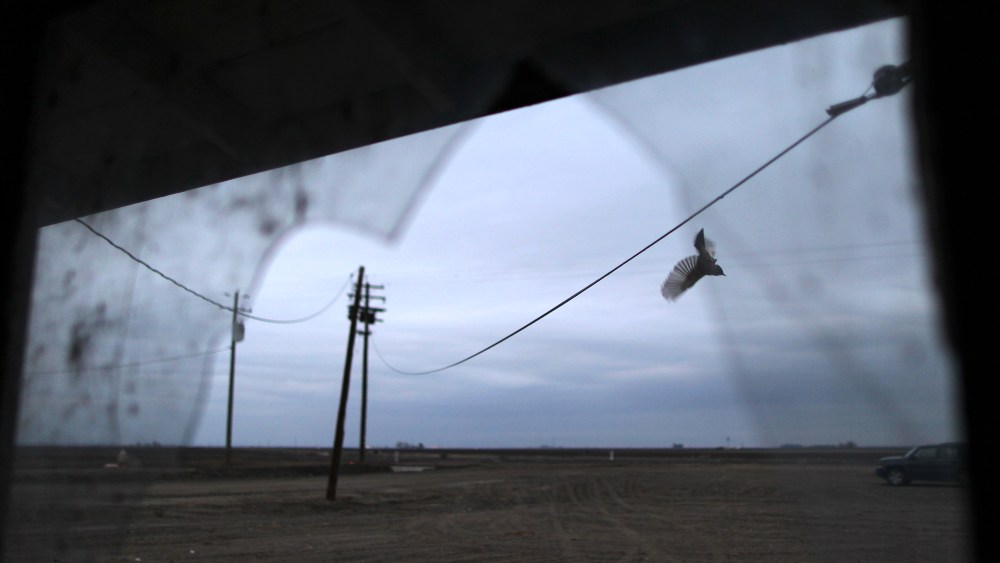 California's Central Valley Impacted By Major Drought