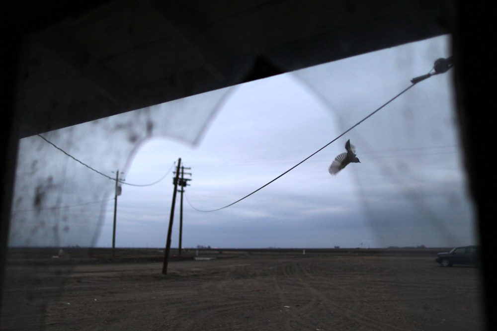 California's Central Valley Impacted By Major Drought