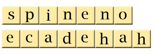 Decryptomaddowlogical #96