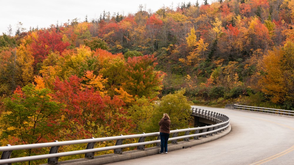 In this Oct. 17, 2013 photo provided by Grandfather Mountain a woman stops to take a photo of the fall foliage along the bridge over Green Mountain Creek on the Blue Ridge Parkway near Grandfather Mountain in Linville, N.C.