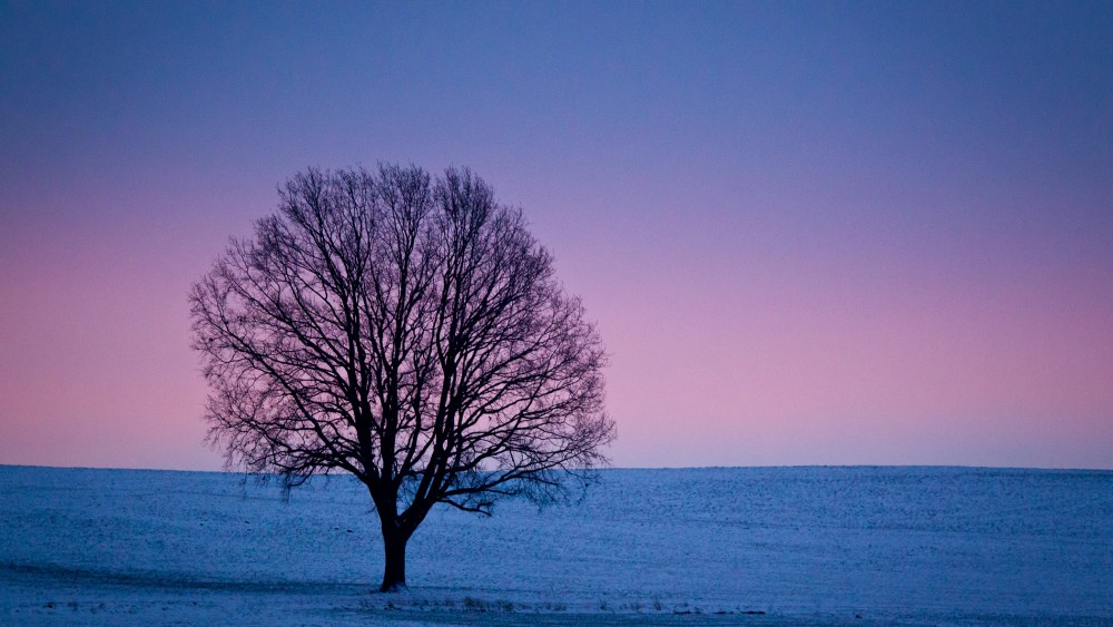 Image: