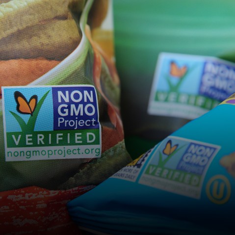 Labels on bags of snack foods indicate they are non-GMO food products, in Los Angeles, Calif. (Photo by Robyn Beck/AFP/Getty)