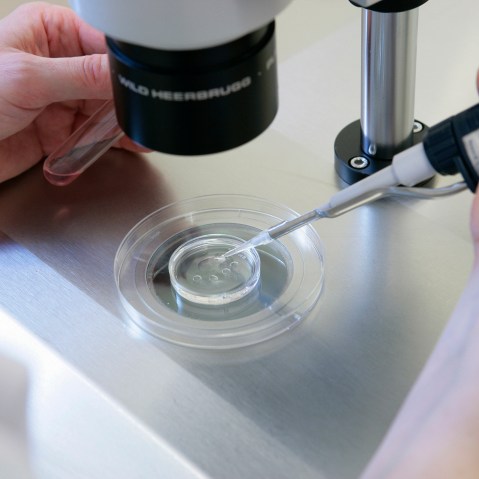 A reproductive biology laboratory at Rouen University Hospital in France. (Photo by Jean-Paul Chasse/Media for Medical/Getty)