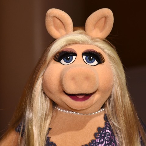 Miss Piggy (Photo by Ilya S. Savenok/Getty).