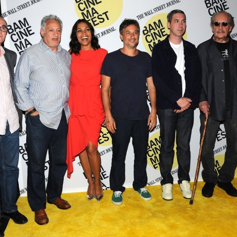 BAMcinemaFest 2015 - "Kids" 20th Anniversary Screening (Photo by Desiree Navarro/WireImage/Getty).