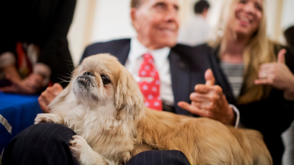 Former Sen. Bob Dole, R-Kan., pets "Milo" during the ASPCA's Fourth Annual Paws for Celebration pet adoption event in Cannon Building, July 30, 2015. (Photo By Tom Williams/CQ Roll Call/Getty)