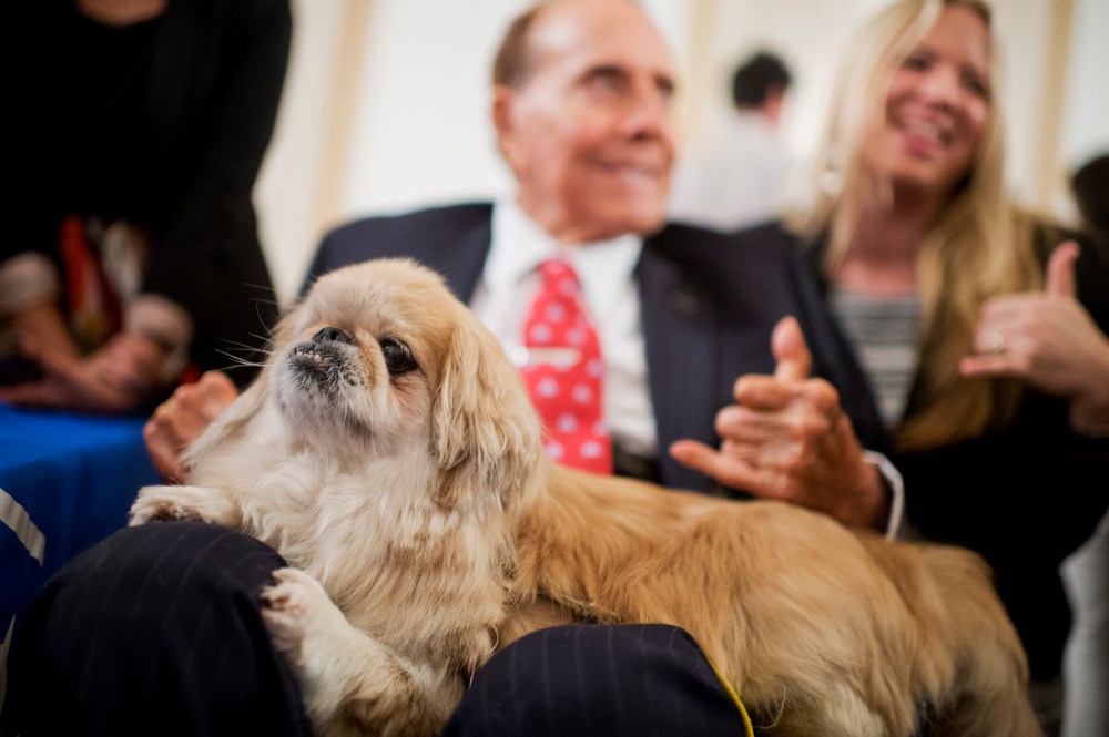 Former Sen. Bob Dole, R-Kan., pets "Milo" during the ASPCA's Fourth Annual Paws for Celebration pet adoption event in Cannon Building, July 30, 2015. (Photo By Tom Williams/CQ Roll Call/Getty)