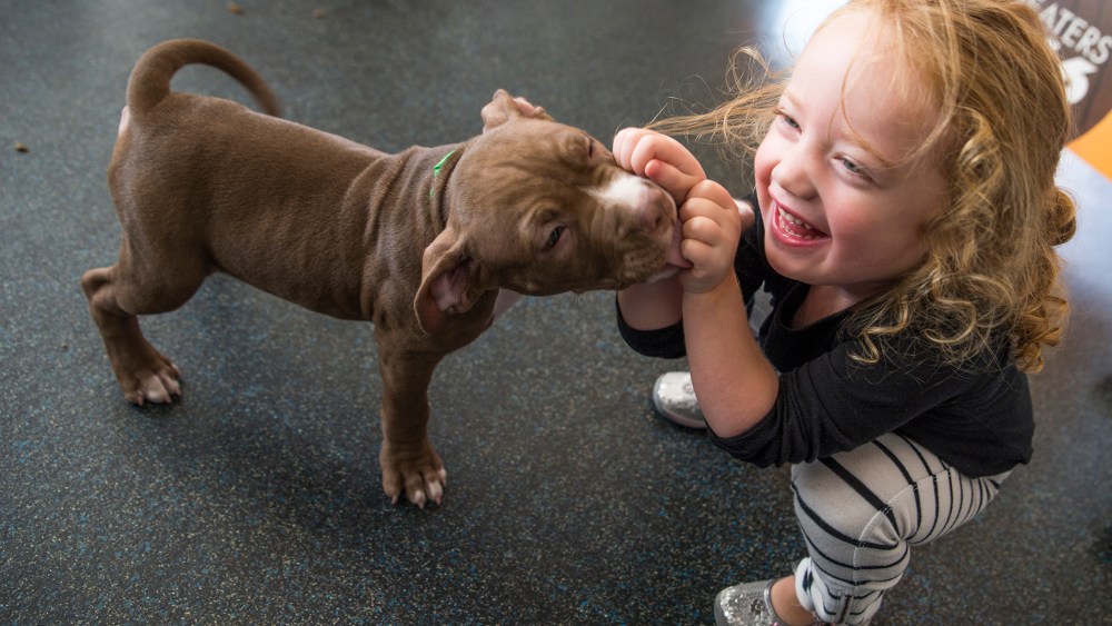 Ruby Cooney, age 3, greets a puppy at ASPCA Adoption Center on Oct. 29, 2015 in New York City. (Photo by Jenny Anderson/WireImage/Getty)