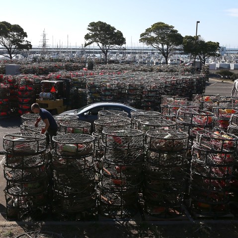 Nick White and Chris Swim stack crab traps in the parking lot of the Pillar Point Harbor on Nov. 5, 2015 in Half Moon Bay, Calif. (Photo by Justin Sullivan/Getty)