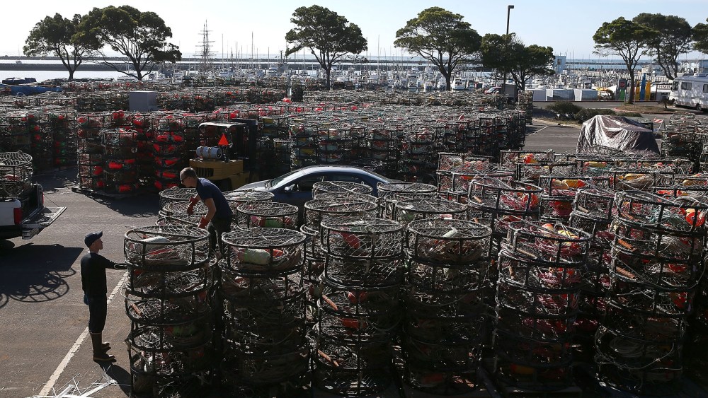 Nick White and Chris Swim stack crab traps in the parking lot of the Pillar Point Harbor on Nov. 5, 2015 in Half Moon Bay, Calif. (Photo by Justin Sullivan/Getty)