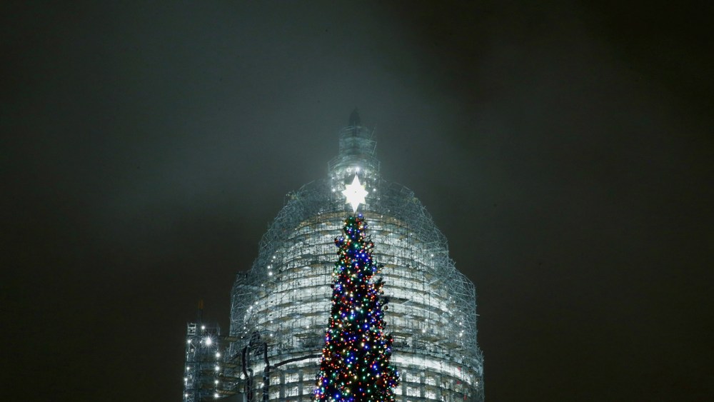 The Captiol Christmas tree is shown lighted during a ceremony on the west front of the U.S. Capitol Dec. 2, 2015 in Washington, DC. (Photo by Chip Somodevilla/Getty)