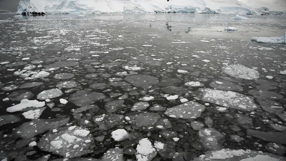 Sea ice floats in the western Antarctic peninsula, March 05, 2016, where penguins forage for krill. But krill are getting scarcer in the western Antarctic peninsula, threatened by climate change and fishing. (Photo by Eitan Abramovich/AFP/Getty)