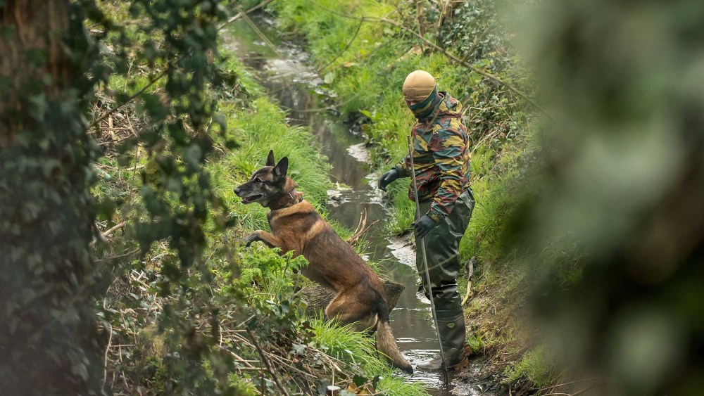 A Belgium soldier with his dog takes part in a search operation in the Rodenburg neighbourhood of the city of Kortrijk in west Flanders on March 31, 2016. (Photo by Philippe Huguen/AFP/Getty)