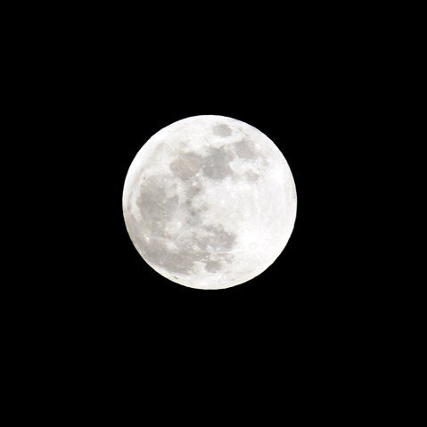 A full moon sits in the nights sky. (Photo by Lars Baron/Getty)
