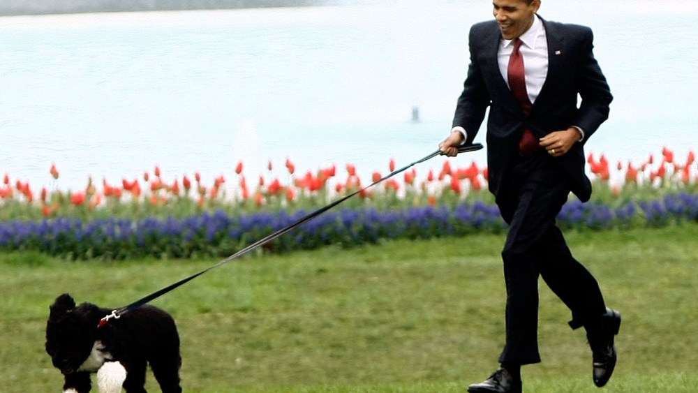 President Barack Obama walks his new Portuguese water dog Bo on the South Lawn of the White House April 14, 2009 in Washington, D.C. (Photo by Win McNamee/Getty)