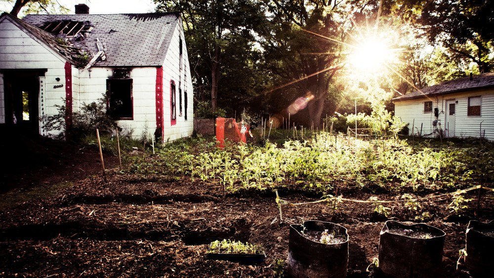 The nonprofit Greening of Detroit estimated in 2013 that between 1,500 and 2,000 urban gardens were being maintained within the city limits.