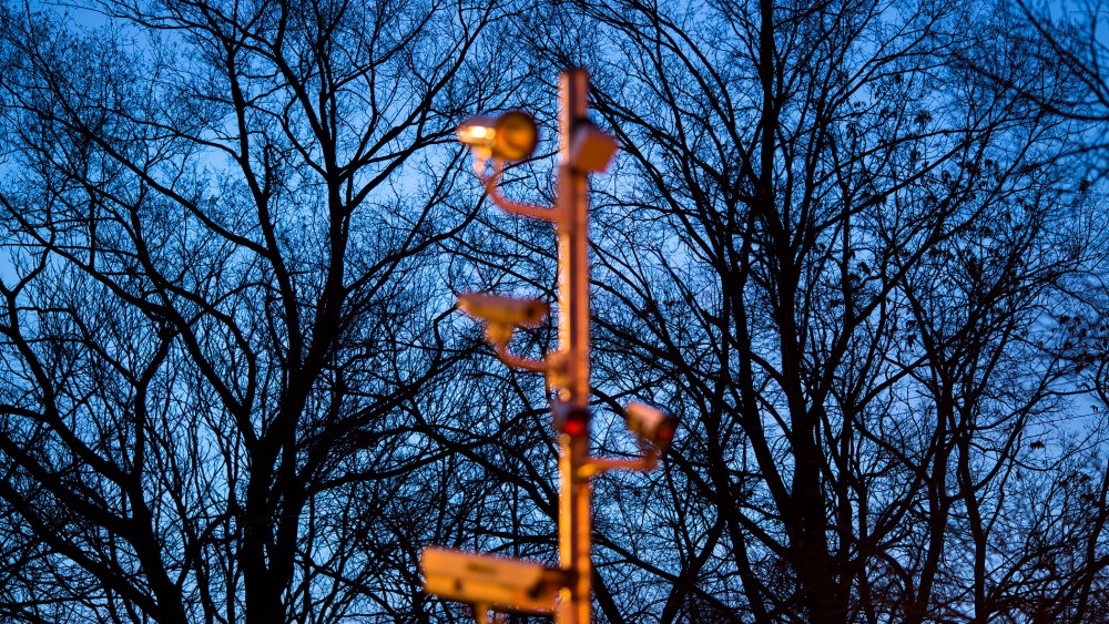 A camera tree used to photograph vehicles that are speeding, or that run a red light, glows at dawn in front of a cluster of real trees along Military Road, Dec. 20, 2013 in Washington, D.C.