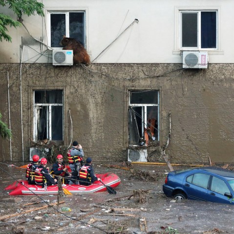 A runaway bear sitting on the window of the second floor of a building on the flooded street in Tbilisi, Georgia on June 14, 2015. (Photo by Beso Gulashvili/Goergian Prime Minister's Press Service/EPA)