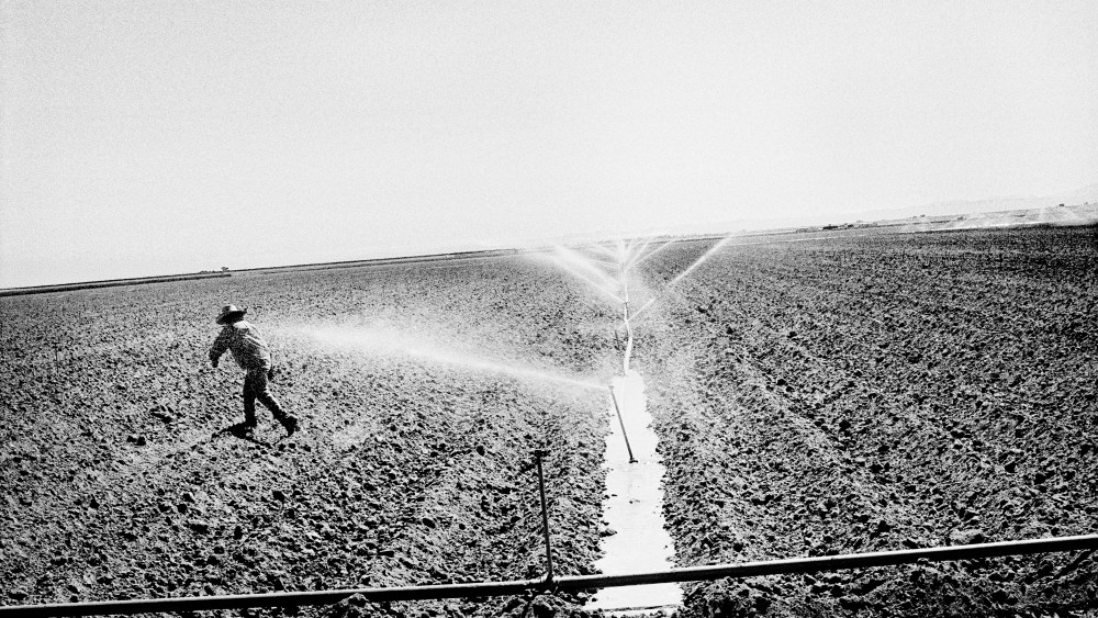 Watering a tomato field in Huron, California. (Photo by Matt Black)