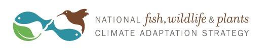 Eco/system: Obama announces plan for flora, fauna and climate change