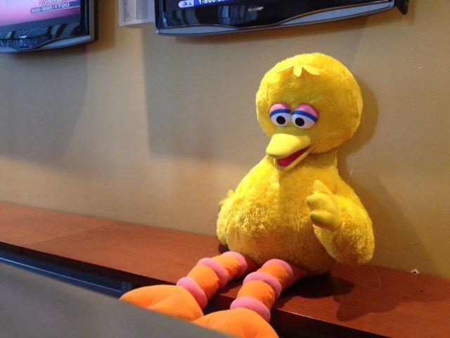 Just flew in from Denver...