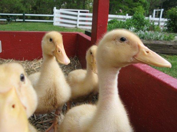 No live Maddow Show tonight.