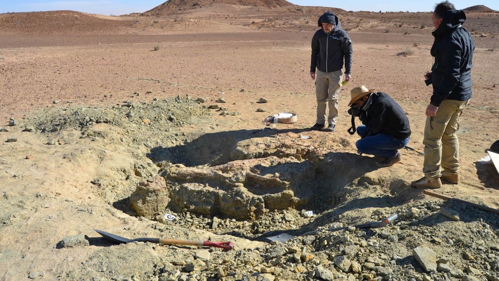 The excavation site of the first specimen of the new crocodile-like species, Machimosaurus rex. These fossils were found in the Tataouine region of southern Tunisia, on the edge of the Sahara Desert.