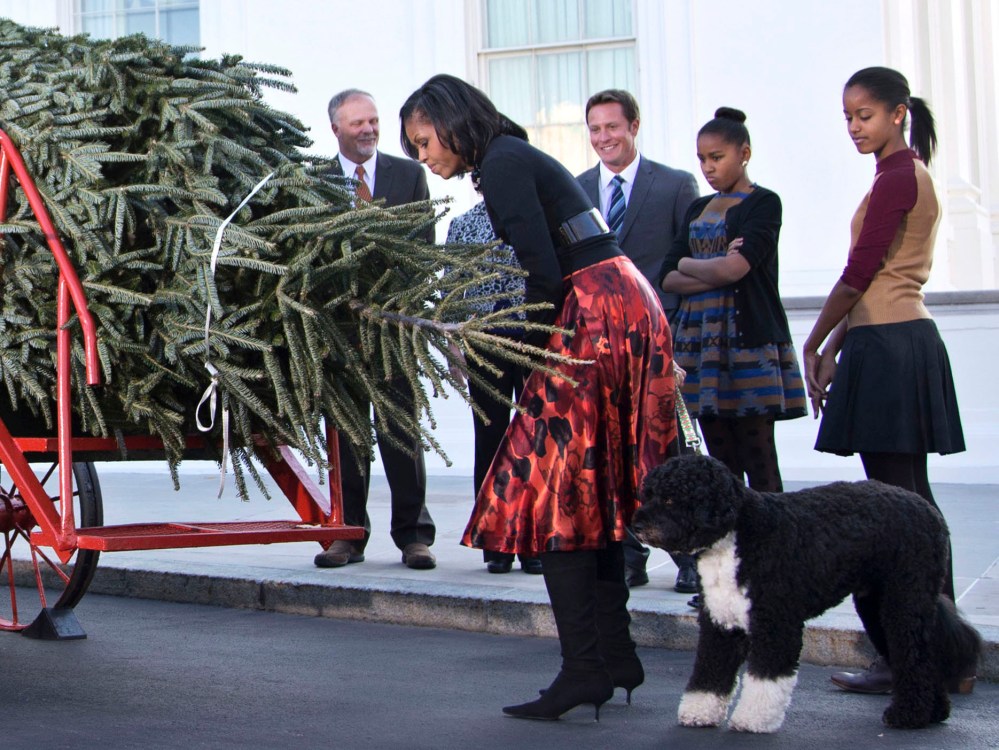 First lady Michelle Obama, accompanied by daughters Sasha, second from right, Malia, right, and first dog Bo, smells the official White House Christmas tree, a 19-foot Fraser Fir from Jefferson, N.C., upon is delivery, Friday, Nov. 23, 2012, at the...