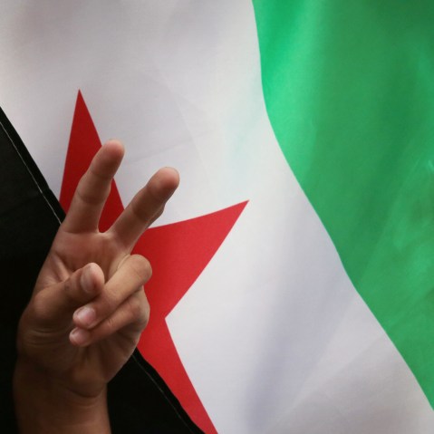 Bulgaria EU Syria Demo
