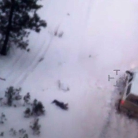 This photo taken from an FBI video shows Robert "LaVoy" Finicum after he was fatally shot by police, Jan. 26, 2016 near Burns, Ore. (Photo by FBI/AP)