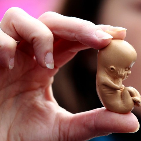 A pro-life campaigner holds up a model of a 12-week-old embryo during a protest outside a clinic on Oct. 18, 2012. (Photo by Cathal McNaughton/Reuters)