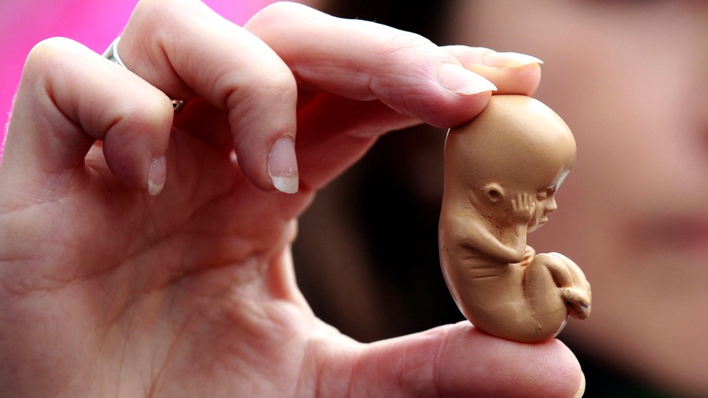 A pro-life campaigner holds up a model of a 12-week-old embryo during a protest outside a clinic on Oct. 18, 2012. (Photo by Cathal McNaughton/Reuters)