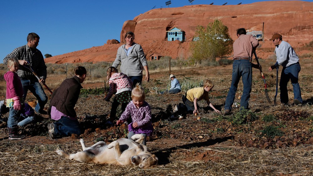Fundamentalist Mormons harvest the community garden along with their children at the Rockland Ranch community outside Moab, Utah, November 3, 2012.