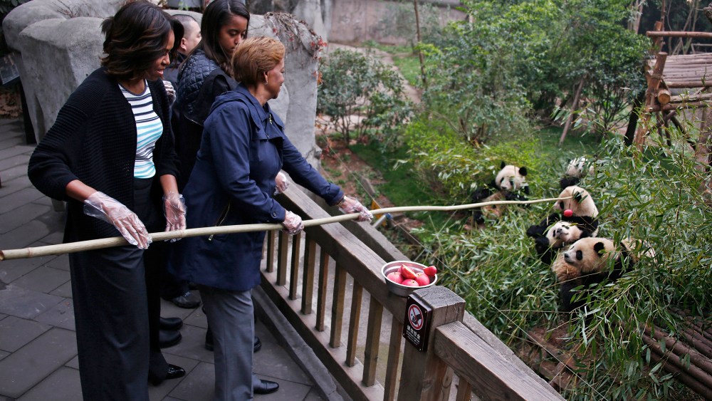 U.S. First Lady Michelle Obama (L) and her mother Marian Robinson (R) feed apples to giant pandas their visit at Giant Panda Research Base in Chengdu, Sichuan province on March 26, 2014.