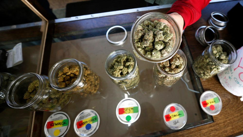 A volunteer displays jars of dried cannabis buds. (Photo by Lucy Nicholson/Reuters)