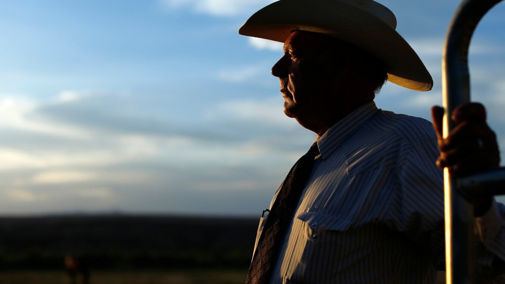 Rancher Cliven Bundy looks out over his 160 acre ranch in Bunkerville, Nevada May 3, 2014. (Photo by Mike Blake/Reuters)