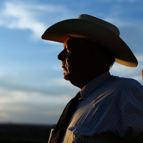 Rancher Bundy looks out over his ranch in Bunkerville, Nevada
