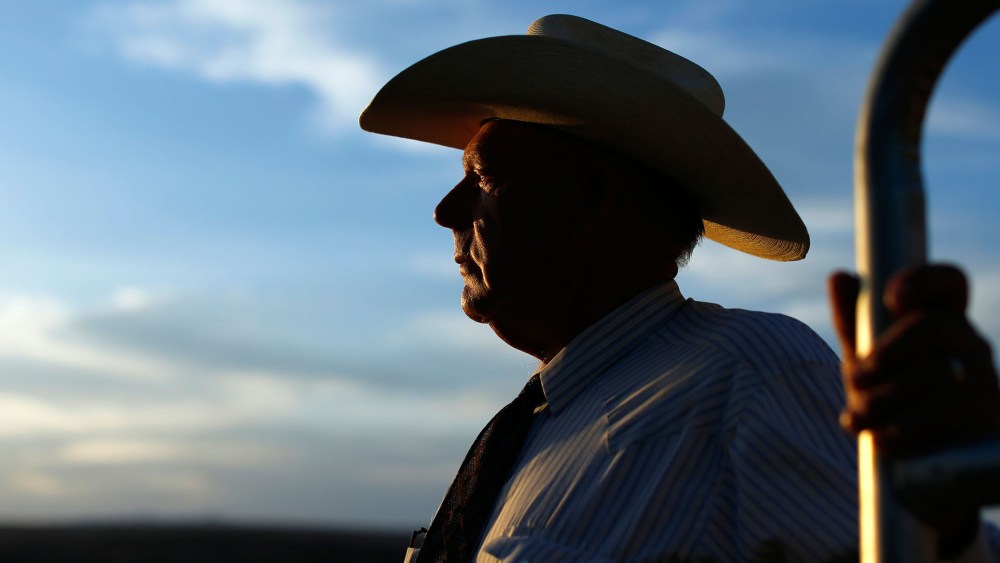 Rancher Bundy looks out over his ranch in Bunkerville, Nevada