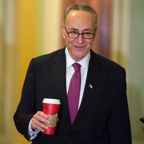 r Chuck Schumer (D-NY) (Photo by Joshua Roberts/Reuters).